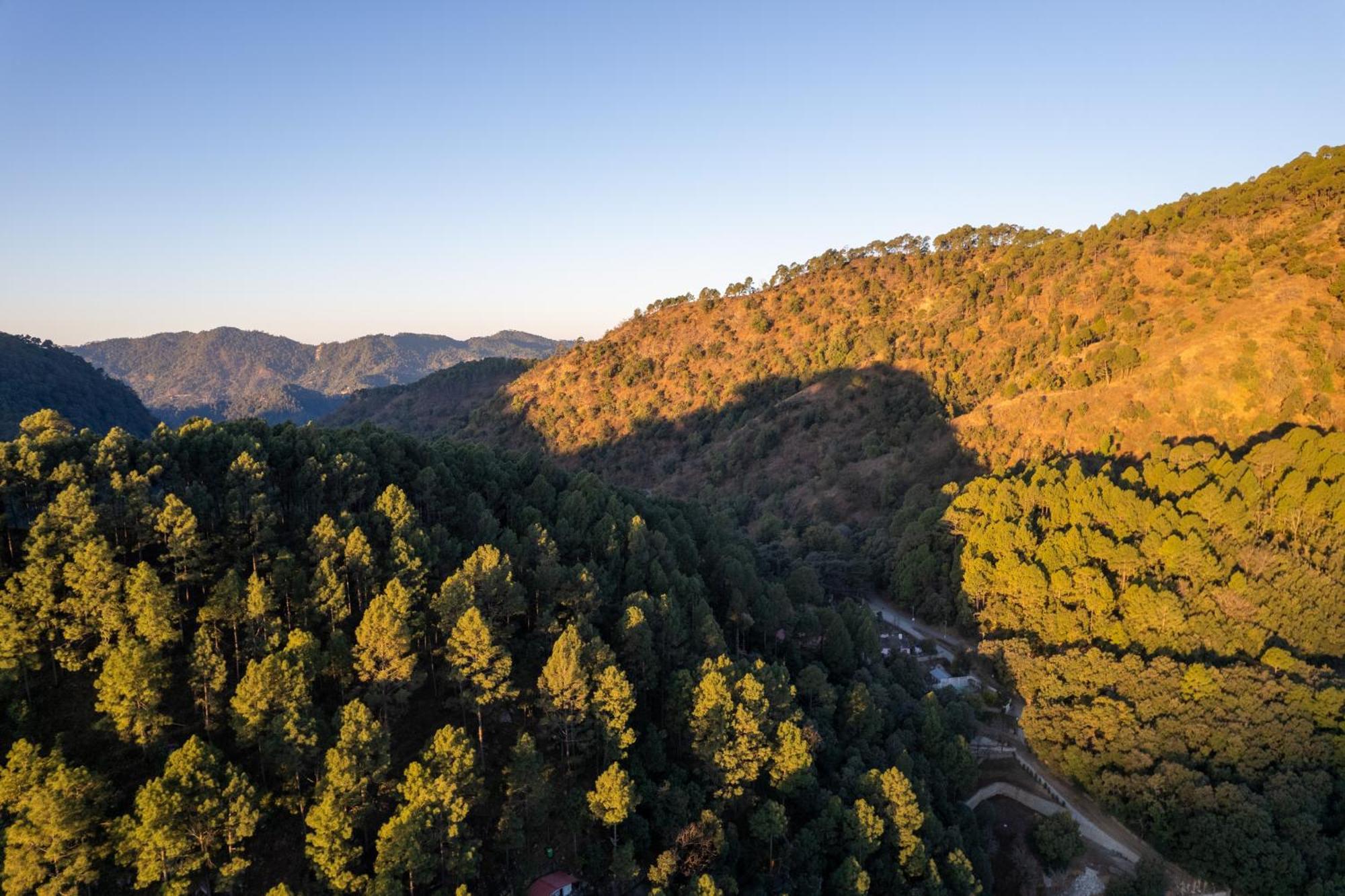 The Canadian Woods Resort Nainital Εξωτερικό φωτογραφία